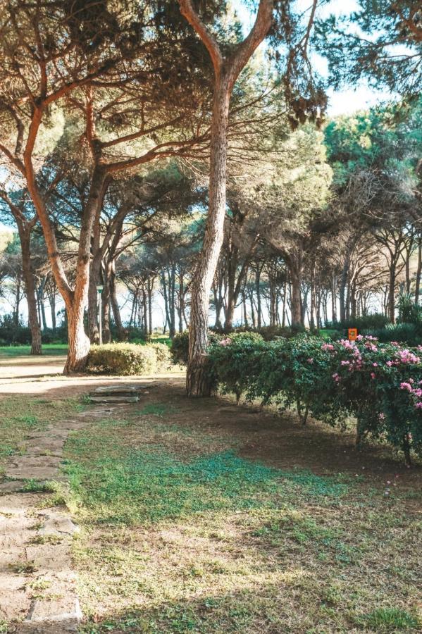 Casa Di Gio Villa Pula Exterior photo
